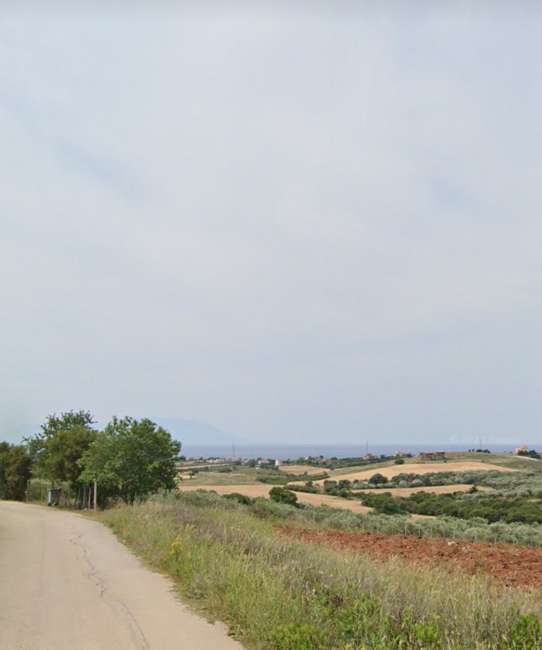 Two agricultural plots in the Kallithea – N. Chili area