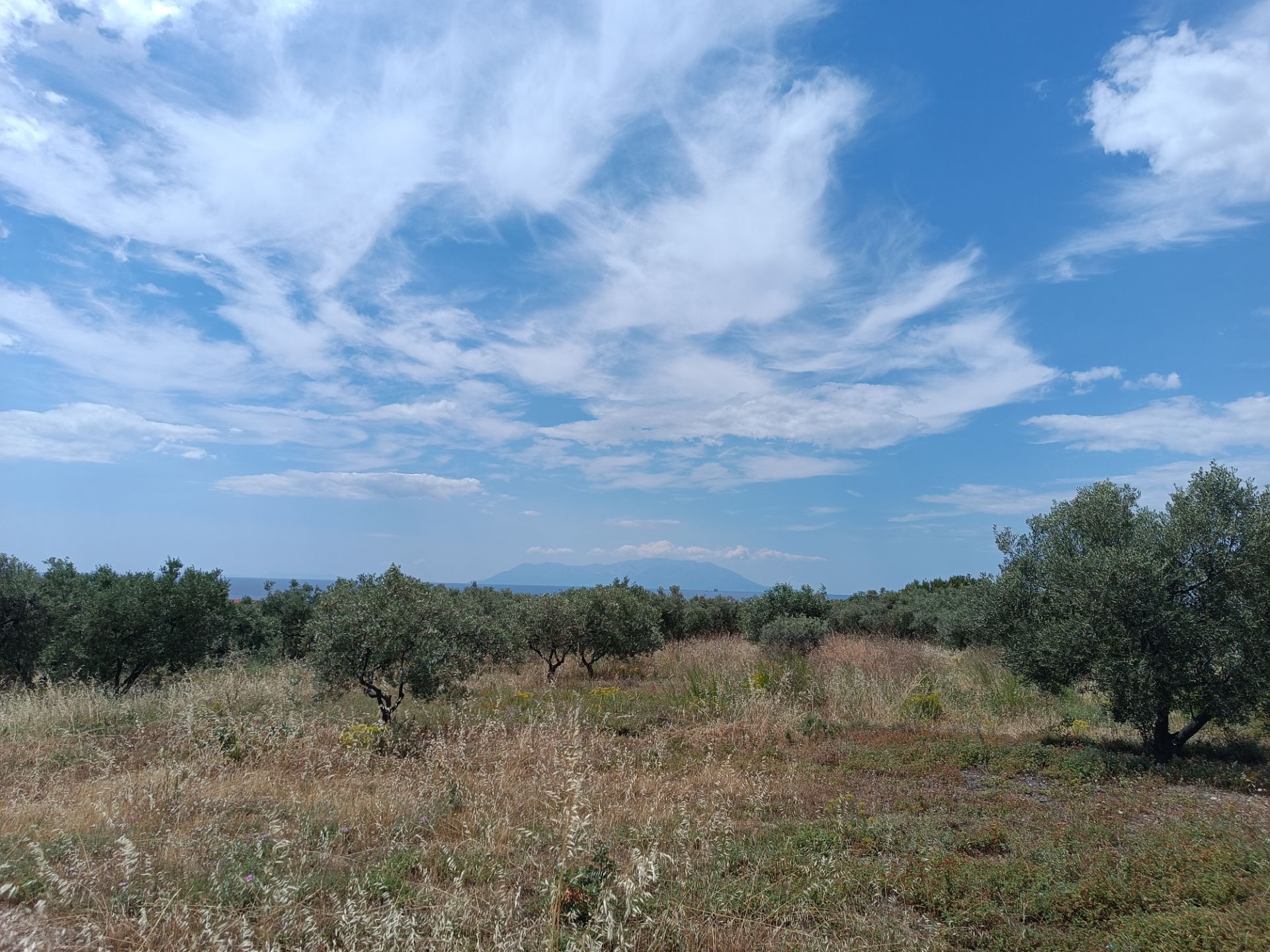 Plot after Finikas Alexandroupolis