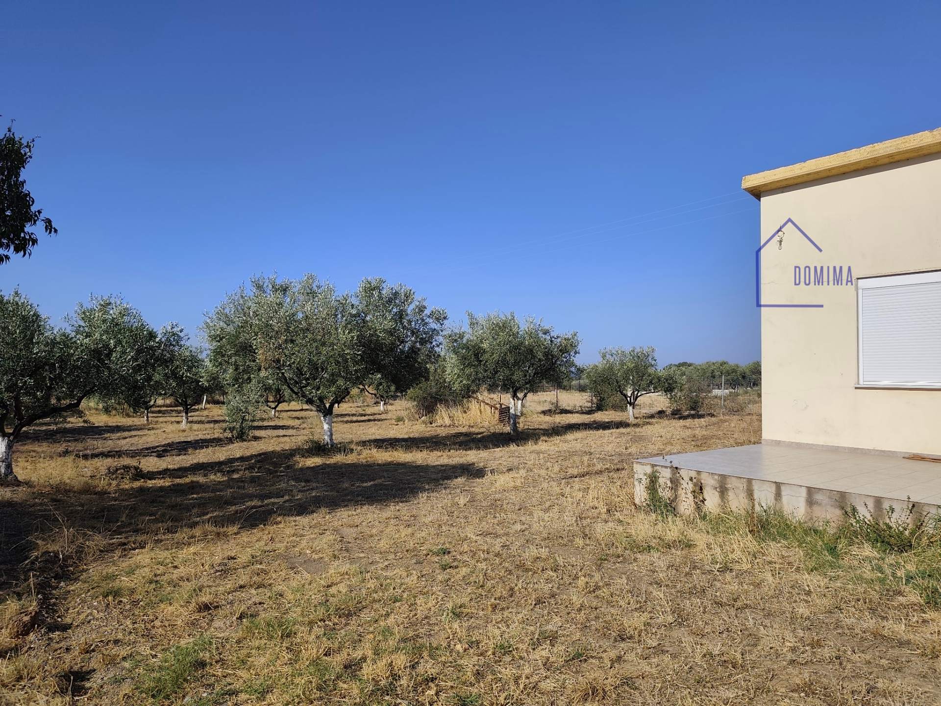 Plot Of Land In Dikella – Mesimvria