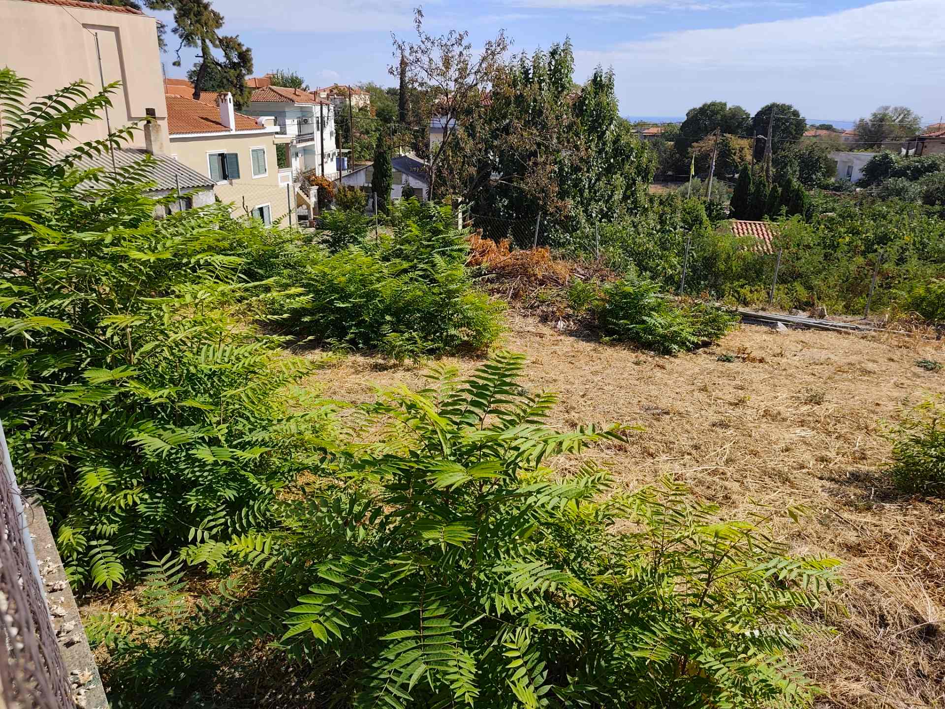 Plot In Makri, Alexandroupolis