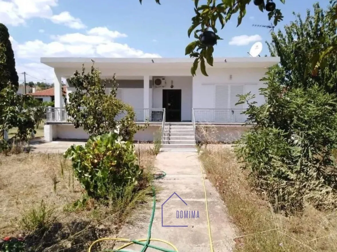Φωτεινή Μονοκατοικία 105 τ.μ. με Μεγάλο Κήπο – Λουτρά Τραινούπολης, Έβρος